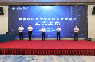 我县举办&ldquo;数字政府建设路径与实践探索&rdquo;专题讲座